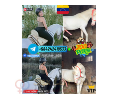 DANIELA PUTA ZOOSEX RUBIA CULONA FOLLADA POR ANIMALES DE GRANJA SEX TELEGRAM